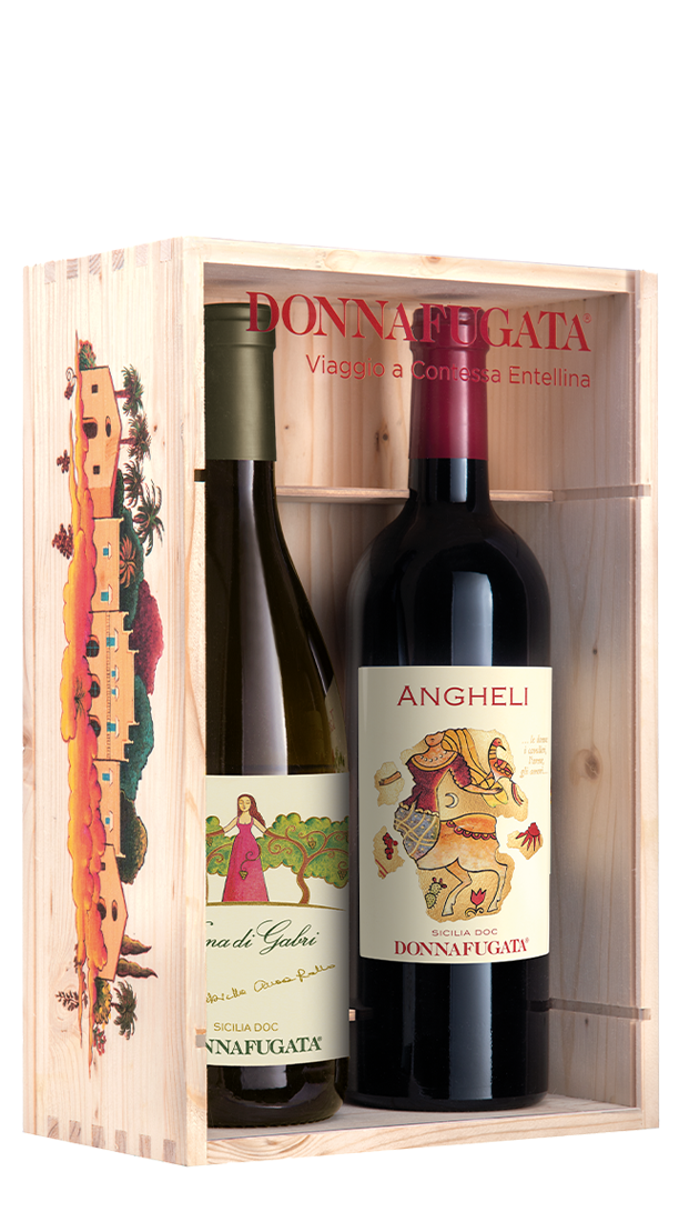 Box 'Viaggio a Contessa Entellina' Donnafugata (2bt)