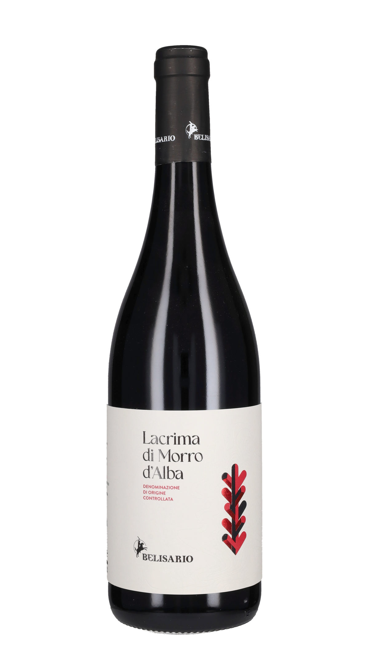 Lacrima di Morro d'Alba Belisario 2024