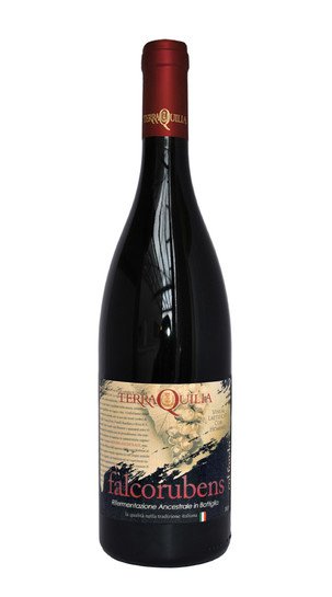 Lambrusco 'Falcorubens' Terraquilia 2015
