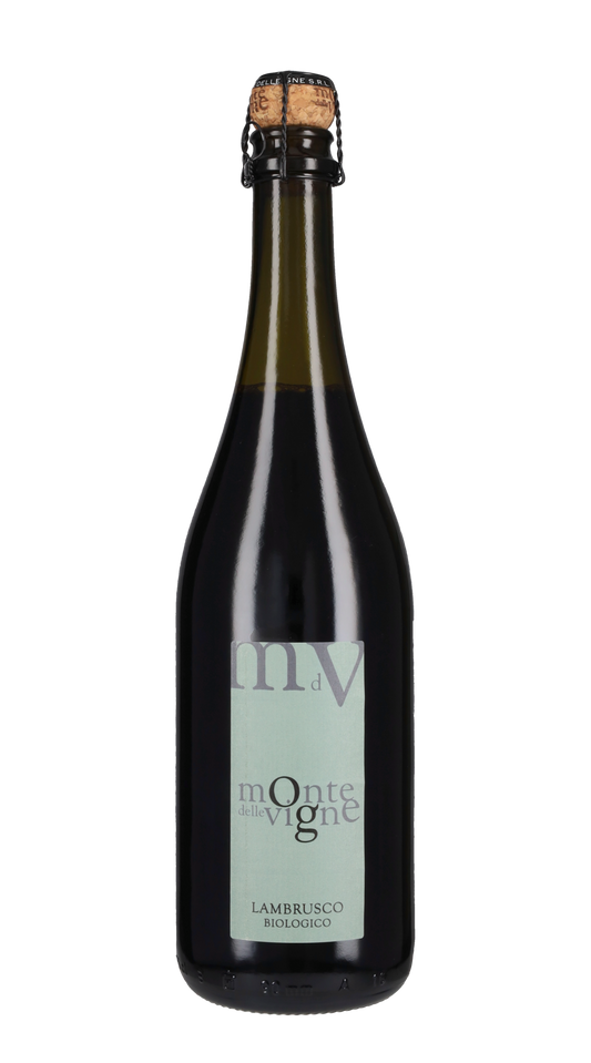 Lambrusco Monte delle Vigne