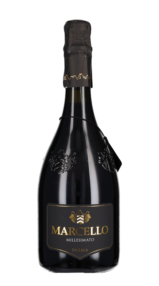 Lambrusco Spumante 'Marcello Millesimato' Ariola