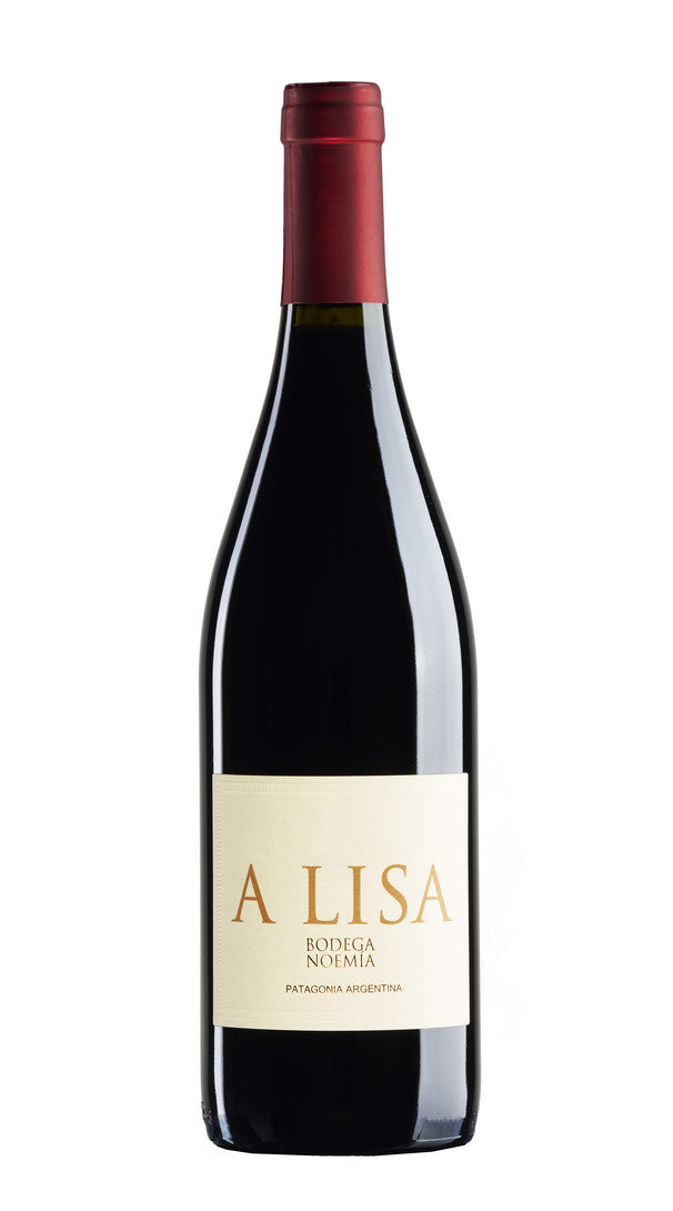 Malbec 'A Lisa' Bodega Noemia 2022