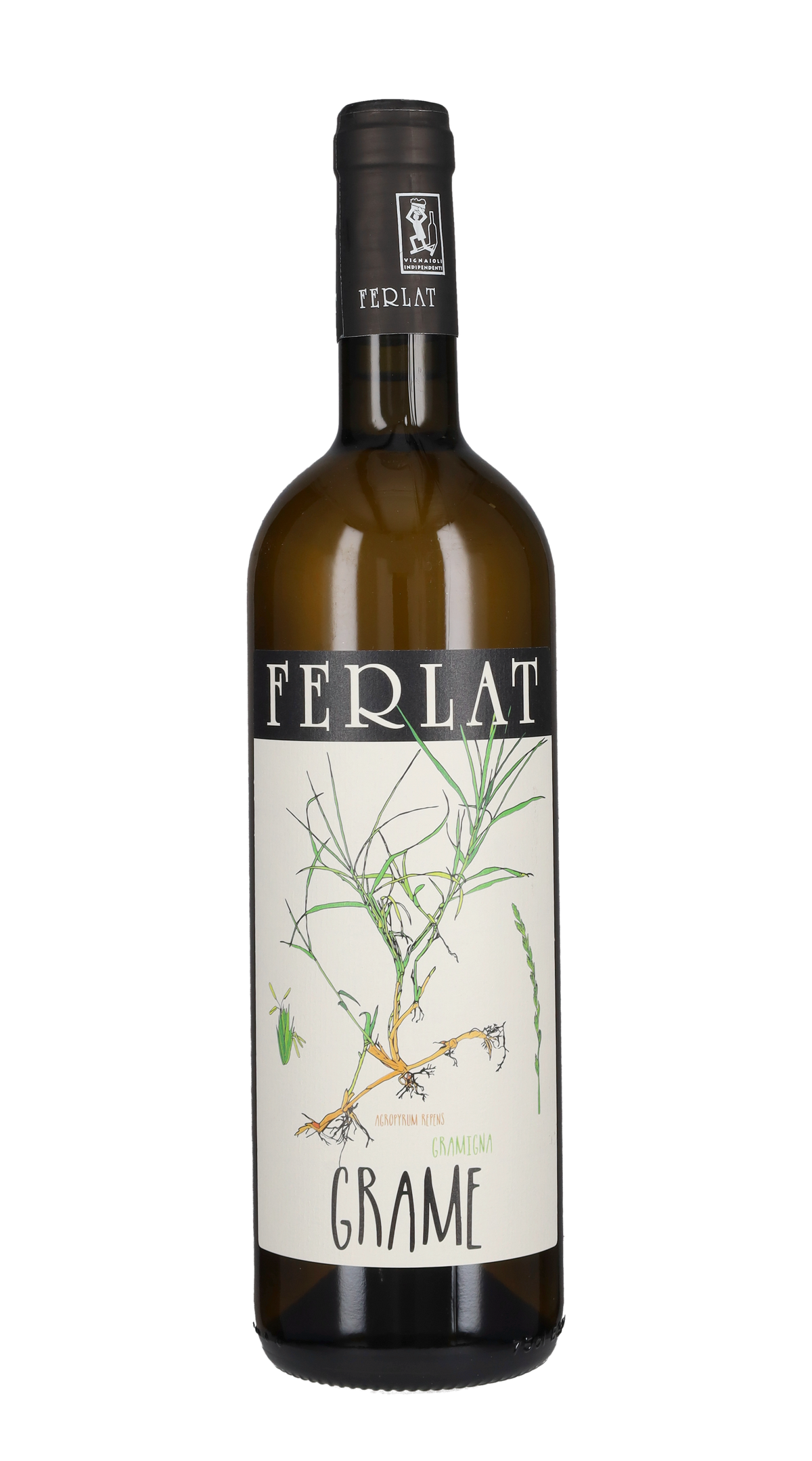 Malvasia 'Grame' Ferlat 2022