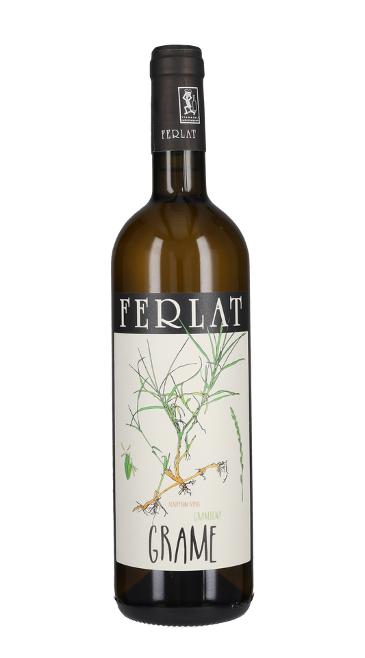 Malvasia 'Grame' Ferlat 2022