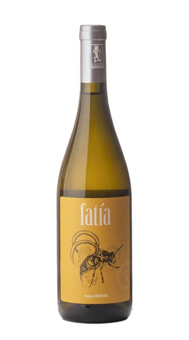 Malvasia Puntinata 'Fatìa' Palazzo Tronconi 2022