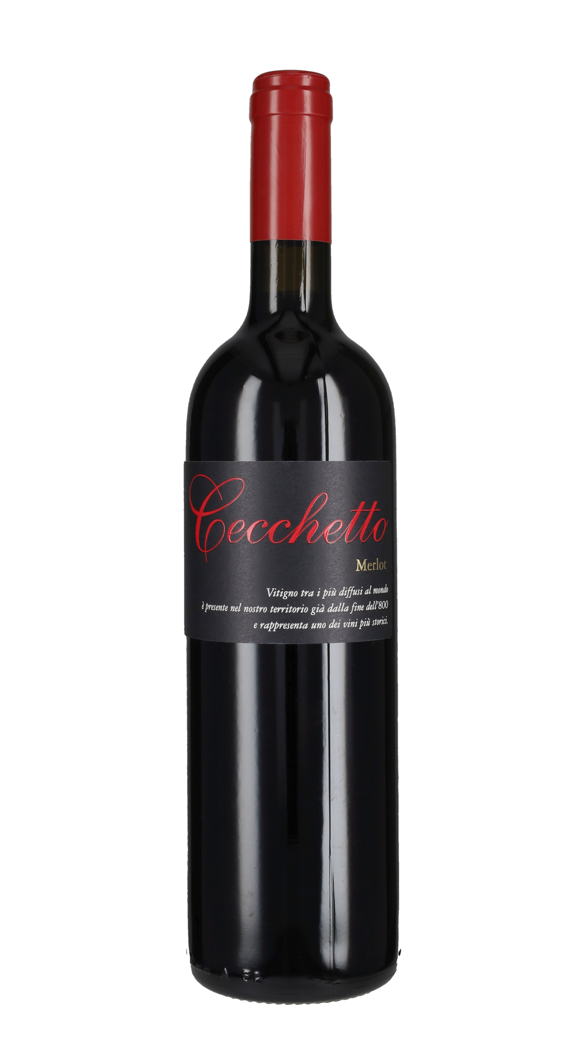 Merlot Giorgio Cecchetto 2024