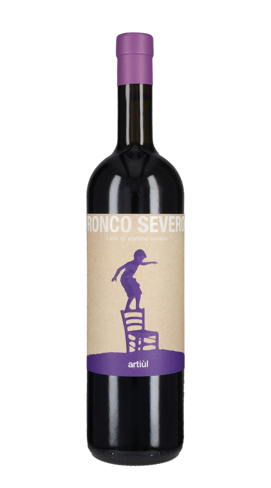 Merlot Riserva 'Artiul' Ronco Severo 2019