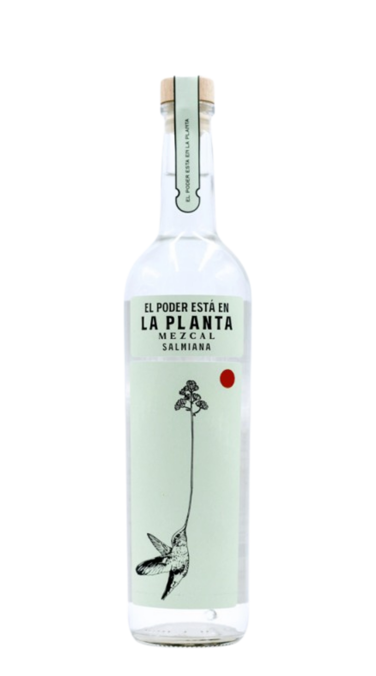 Mezcal 'Salmiana' La Planta