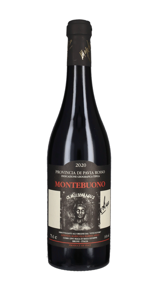 Montebuono Lino Maga 2020