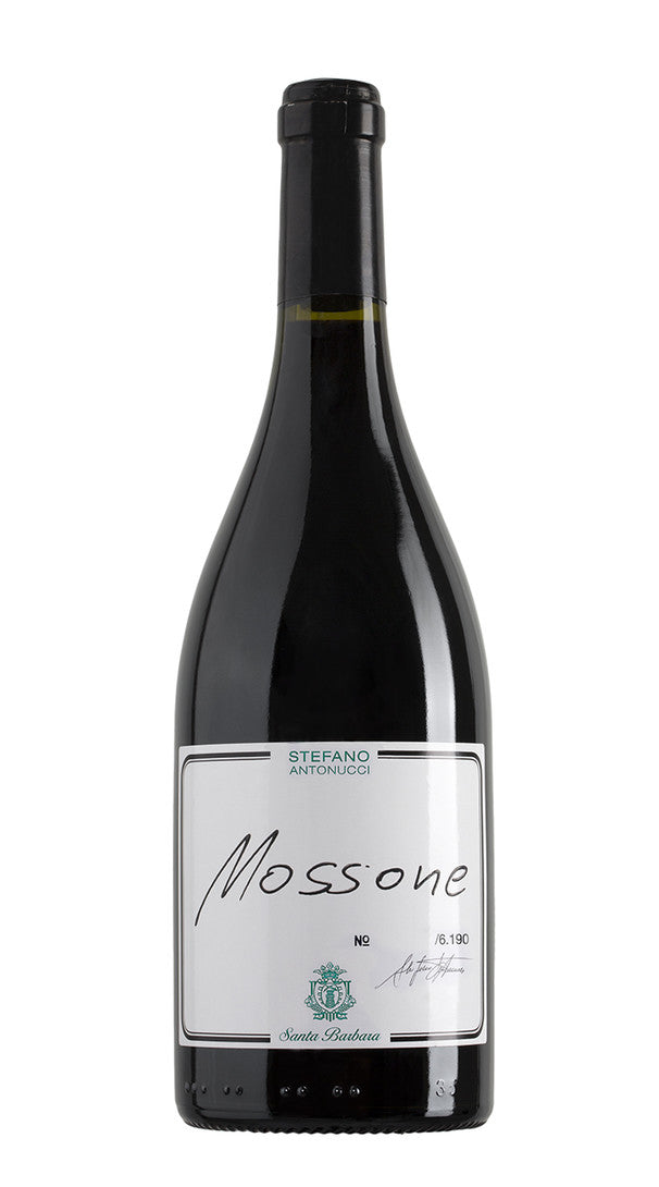 'Mossone' Santa Barbara 2017
