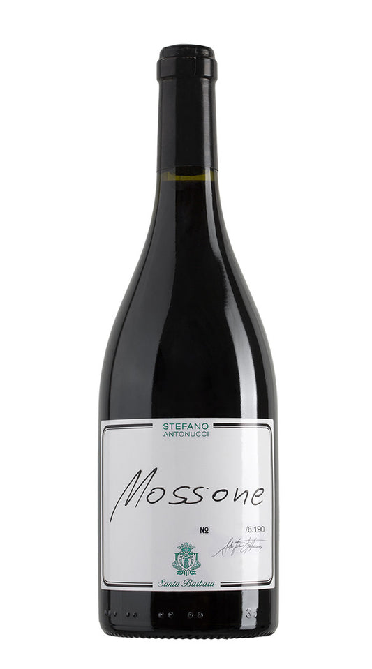 'Mossone' Santa Barbara 2020