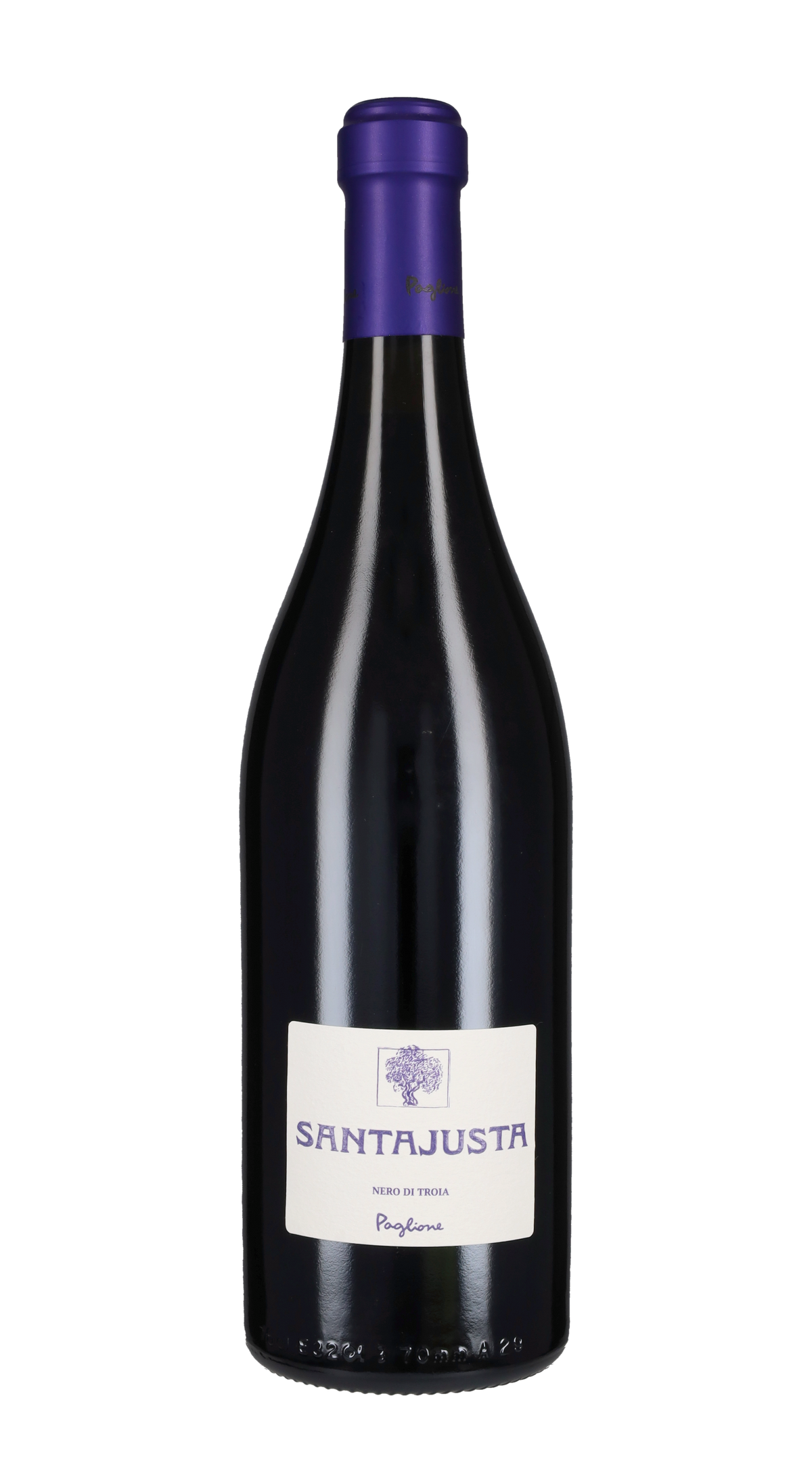 Nero di Troia 'Santajusta' Paglione 2017