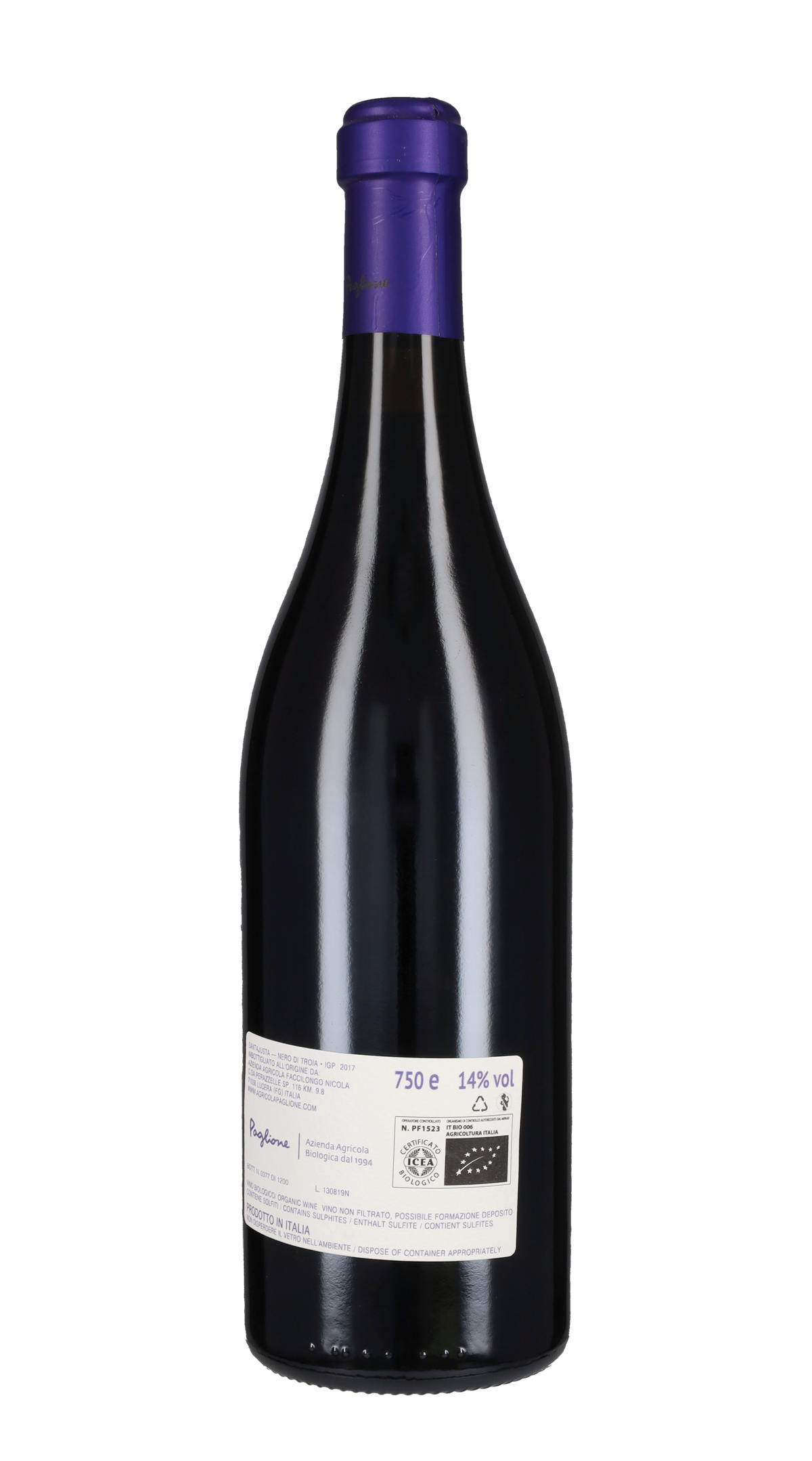 Nero di Troia 'Santajusta' Paglione 2017