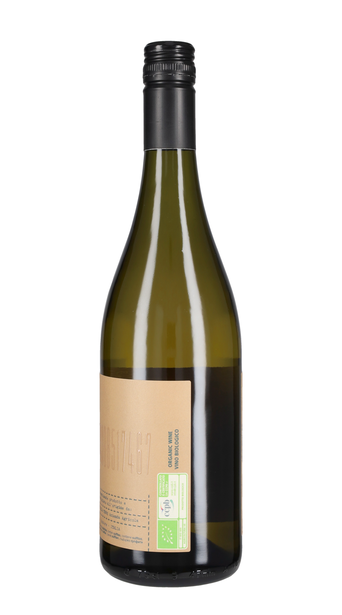Pecorino Podere della Torre 2025