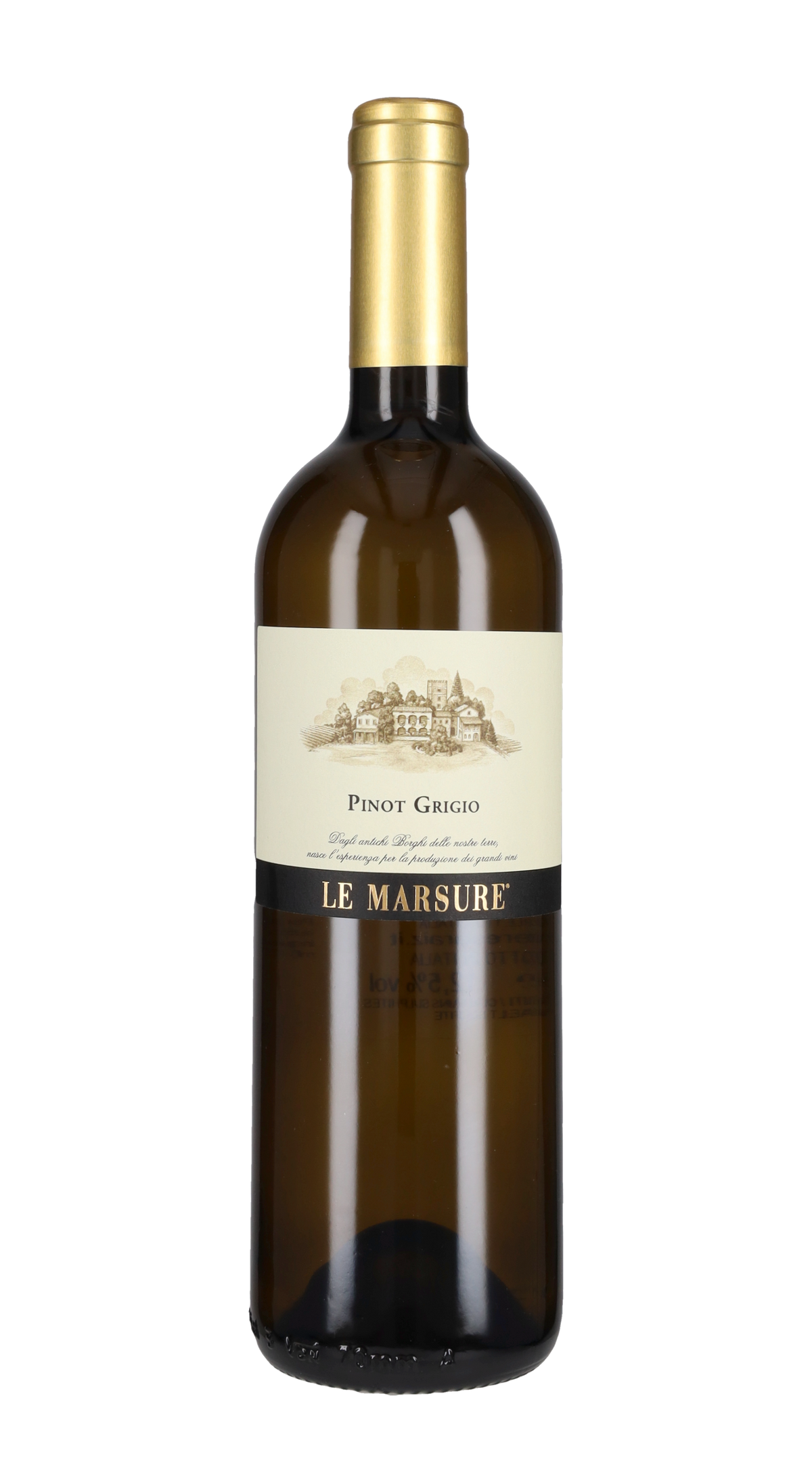Pinot Grigio 'Le Marsure' Teresa Raiz 2025