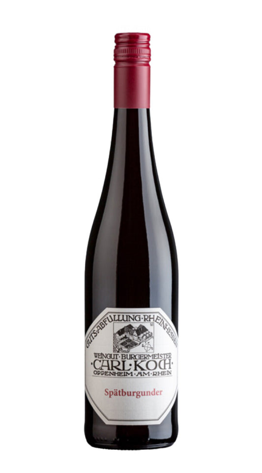 Pinot Nero Guldenmorgen Carl Koch 2021