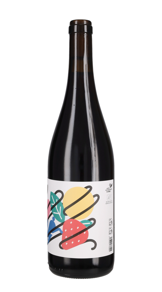 Pinot Noir 'Turnalls Avall' Mas de la Sabatera 2025