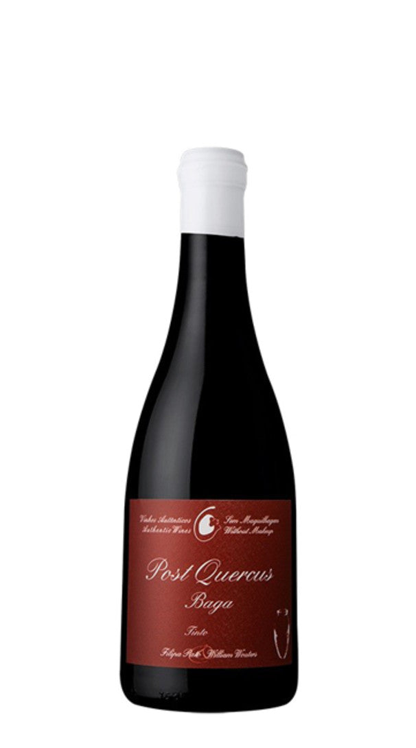 Post Quercus Tinto Filipa Pato 2021 - 50cl