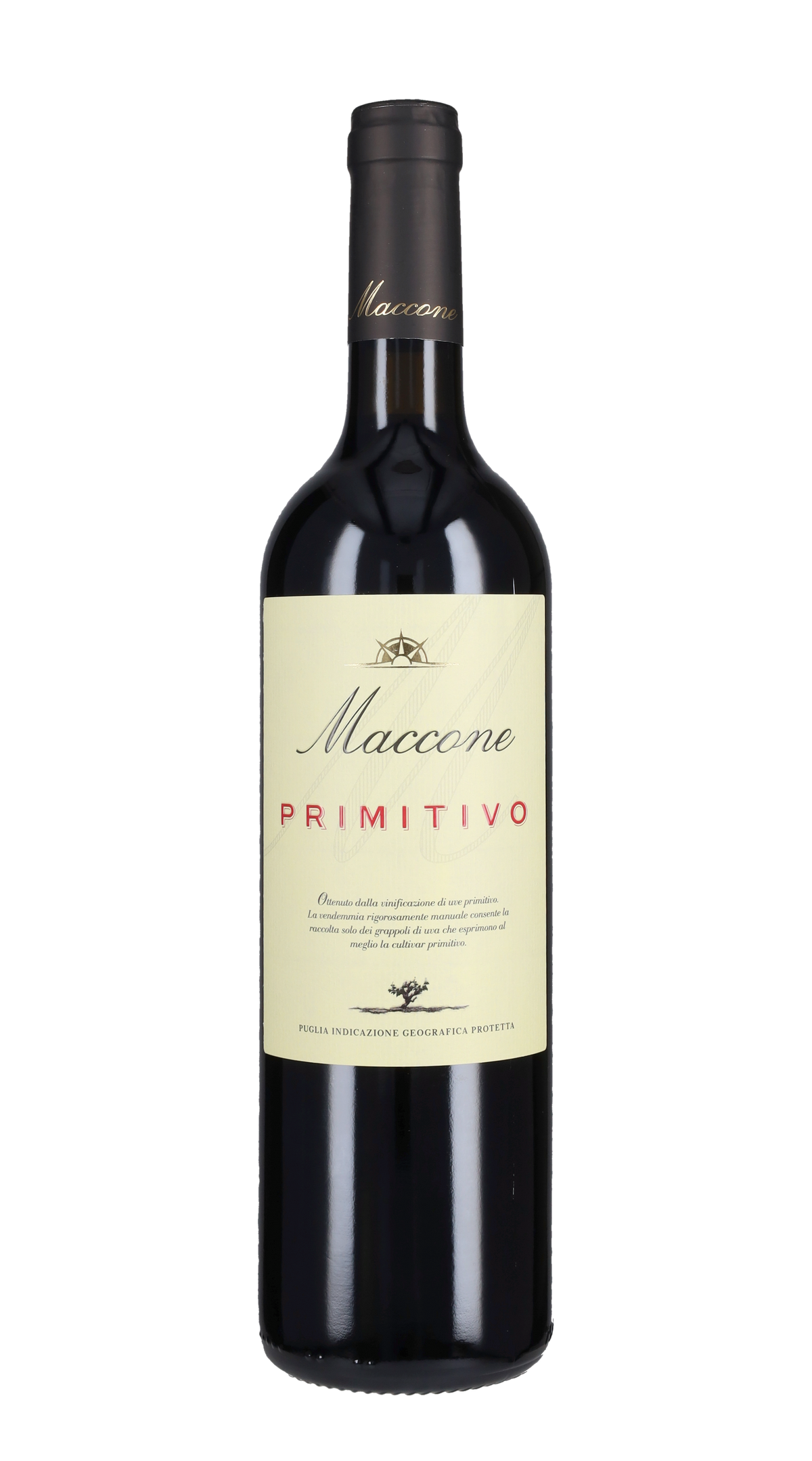Primitivo 'Maccone' Donato Angiuli 2025