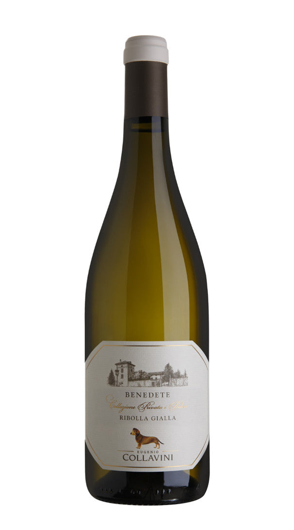Ribolla Gialla 'Benedete' Collavini 2018