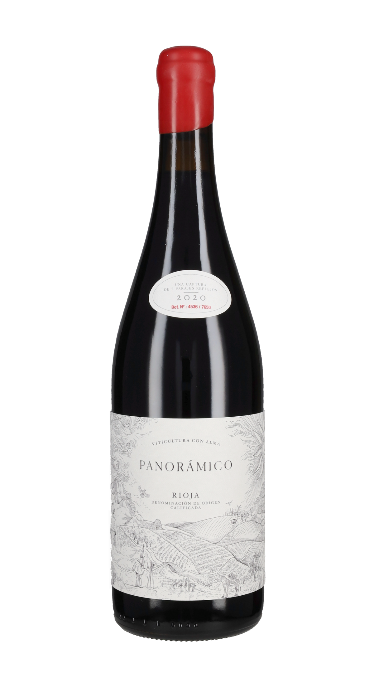 Rioja Tinto Panoramico 2020