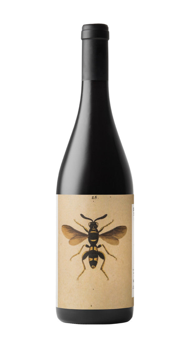 Sangiovese Predappio 'Il Sangiovese' Noelia Ricci 2018