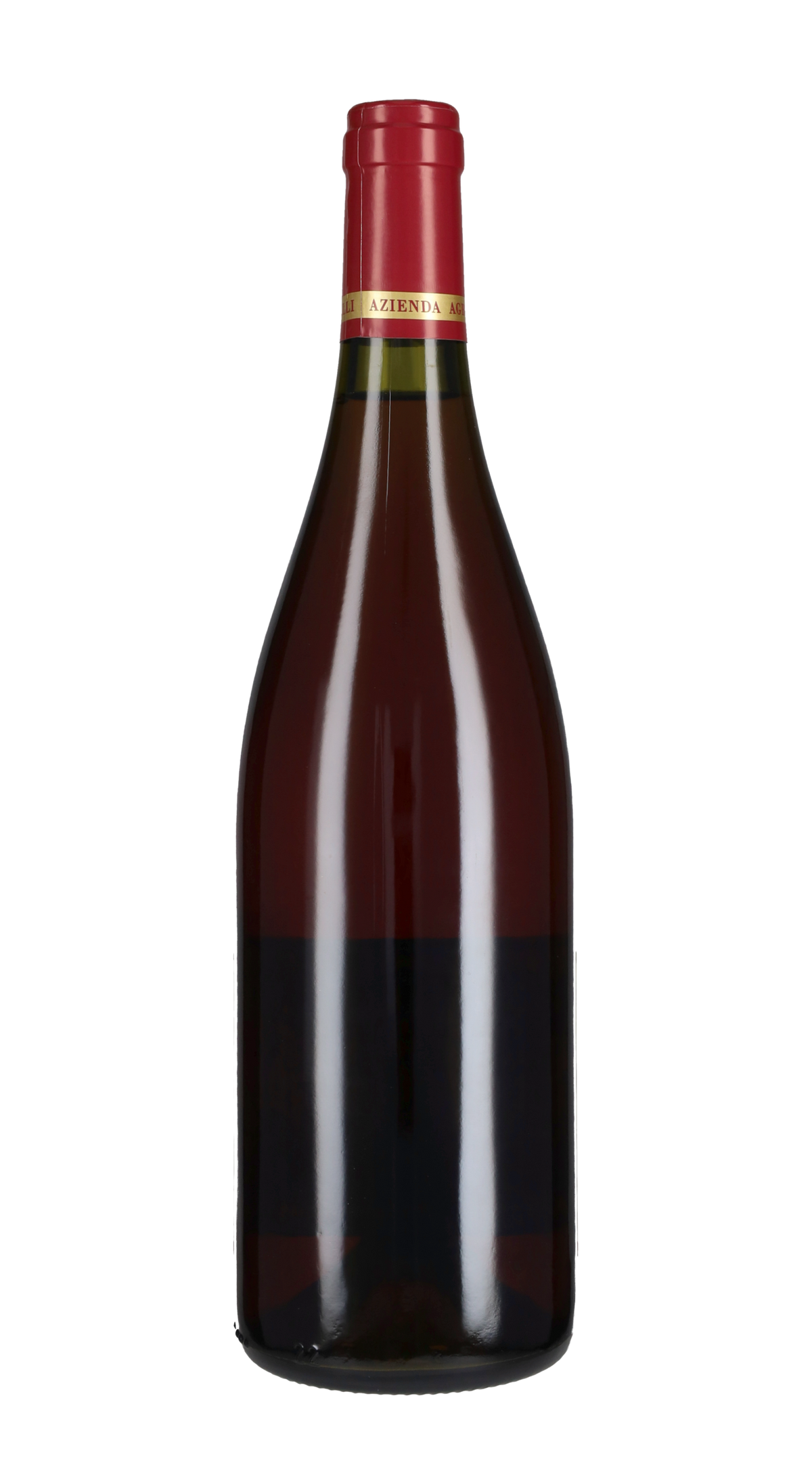 Sant'Isidoro Maria Pia Castelli 2024