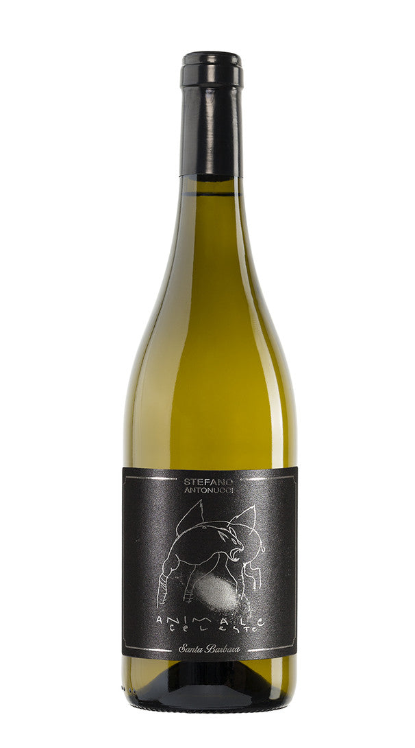 Sauvignon 'Animale Celeste' Santa Barbara 2019