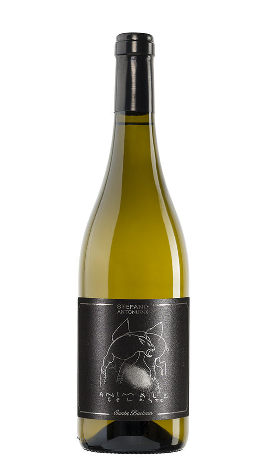 Sauvignon 'Animale Celeste' Santa Barbara 2023
