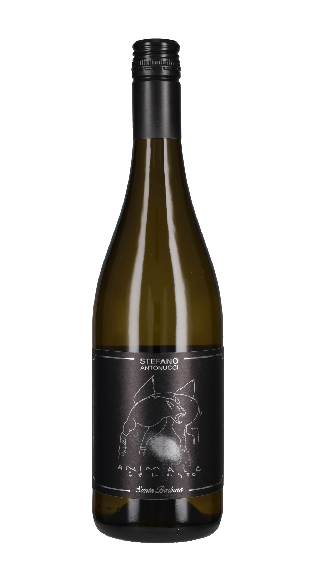 Sauvignon 'Animale Celeste' Santa Barbara 2024