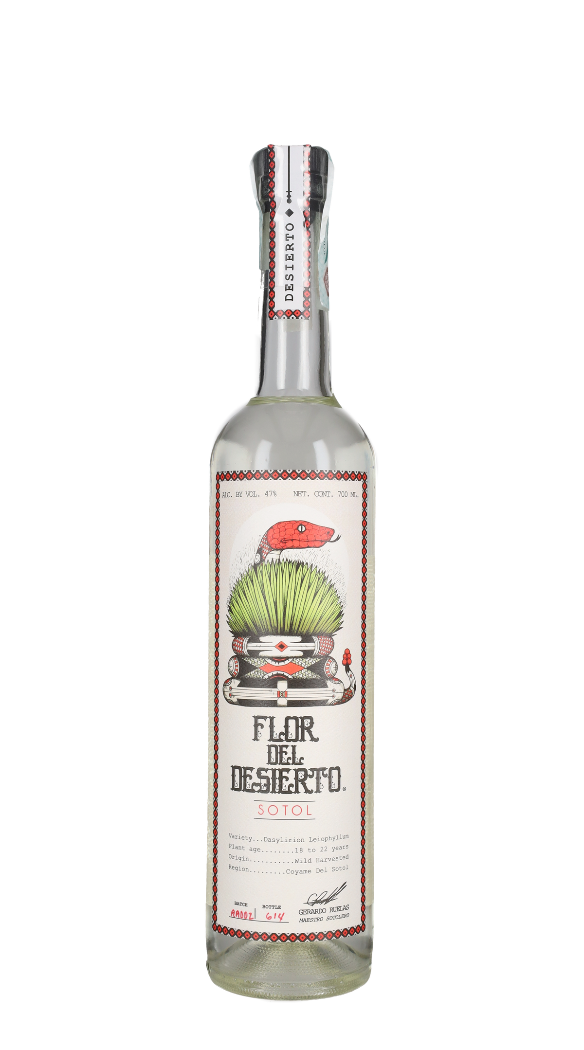 Sotol 'Desierto 47' Flor del Desierto