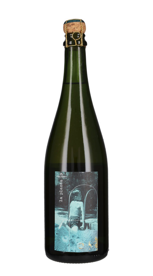 Spumante Brut Nature 'La Planta' Mas Gomà