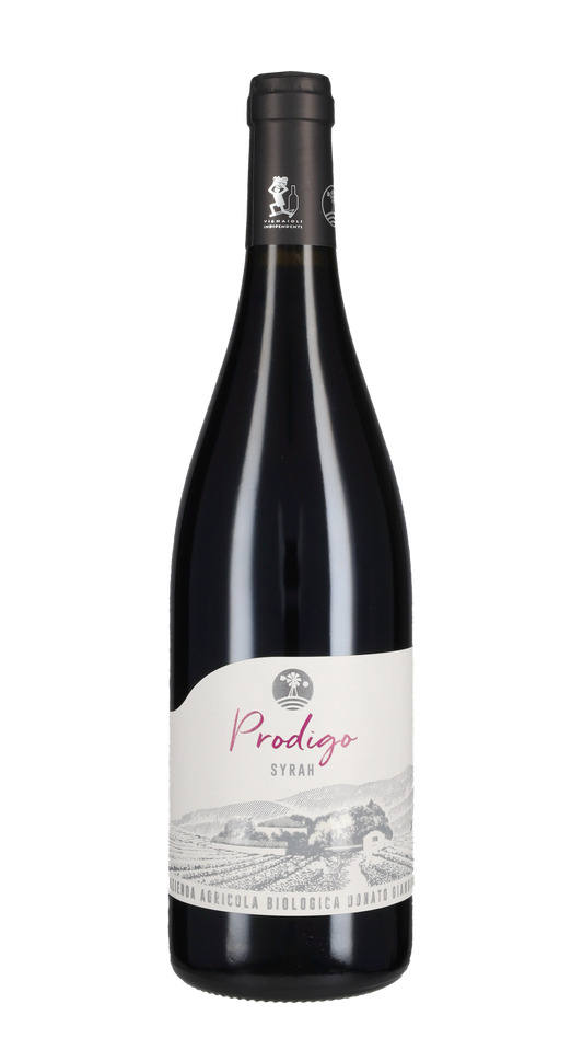Syrah 'Prodigo' Donato Giangirolami 2021