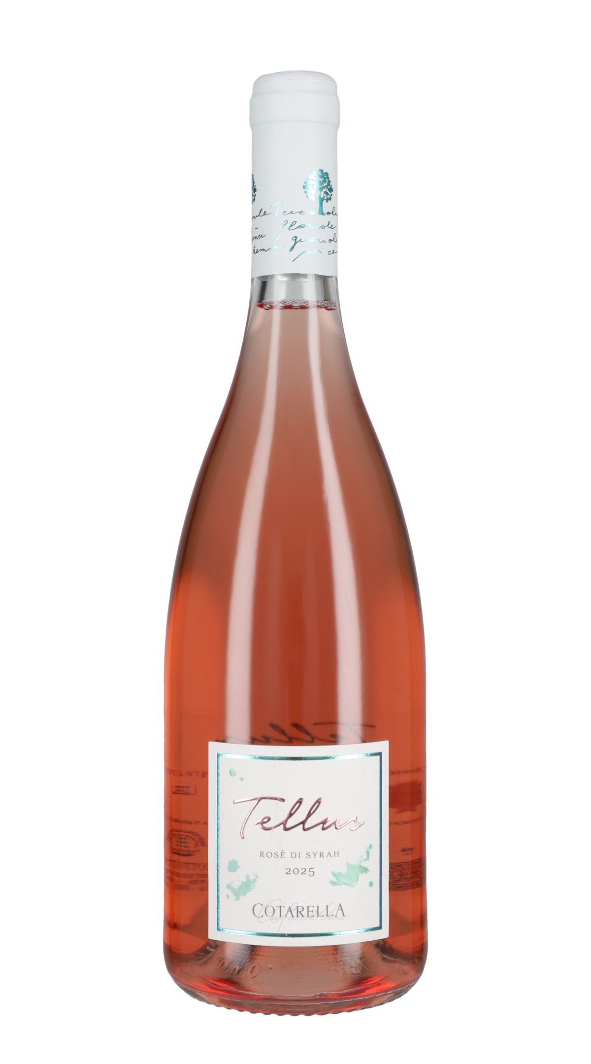Syrah Rosato 'Tellus' Falesco 2025