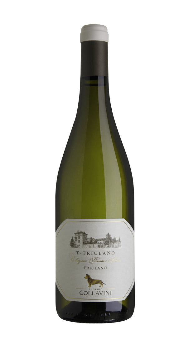 'T-Friulano' Collavini 2020