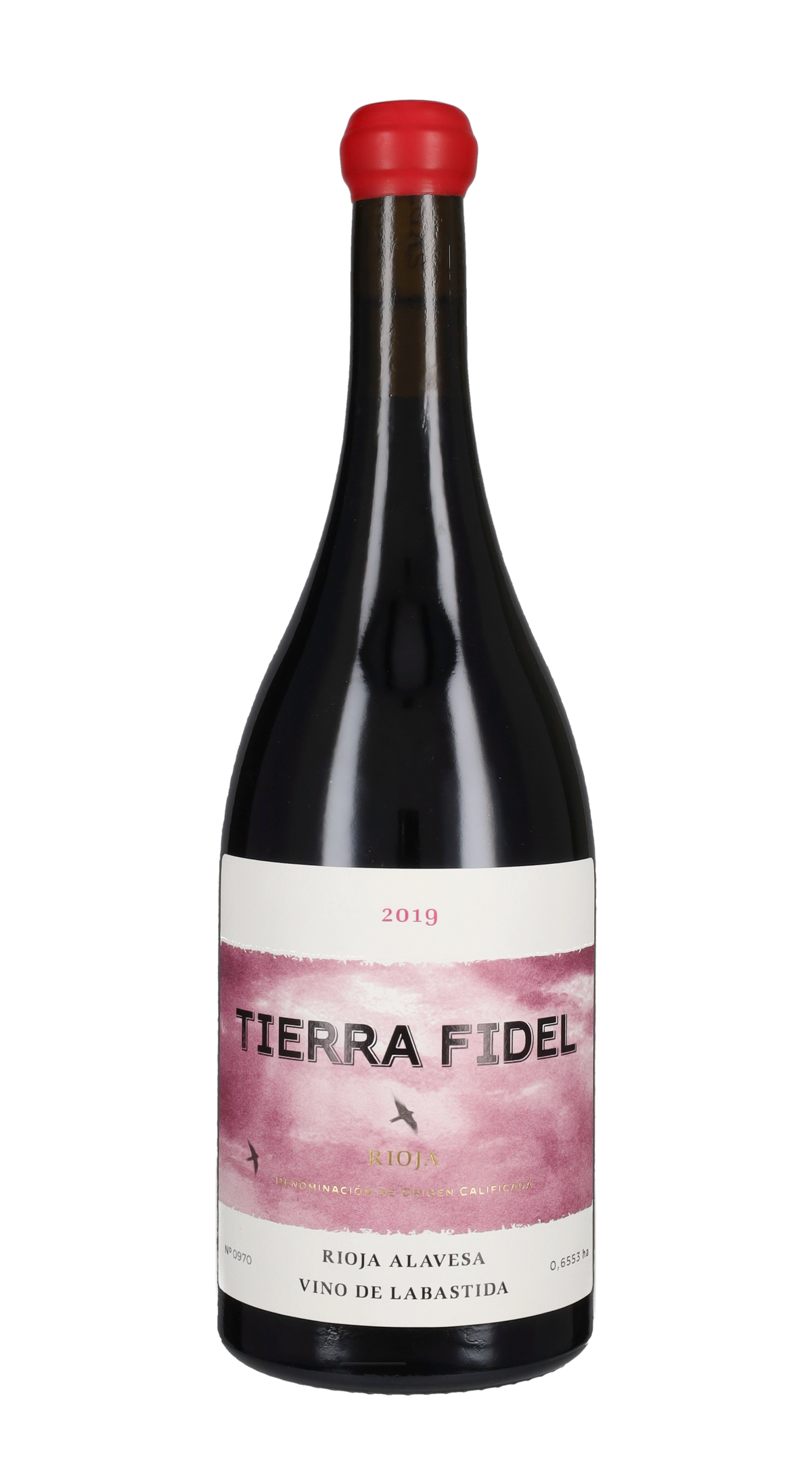 Tierra Fidel Tinto Bodegas Tierra 2019