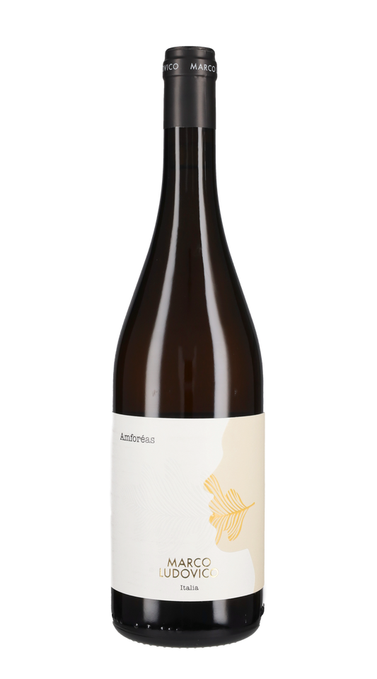 Trebbiano 'Amforeas' Marco Ludovico 2024