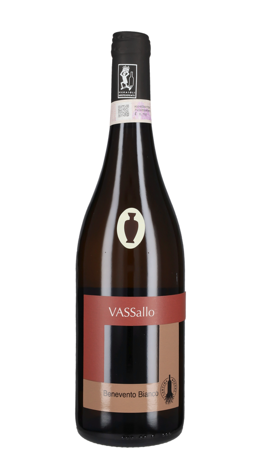 'Vassallo Anfora' Cantina Morone 2024
