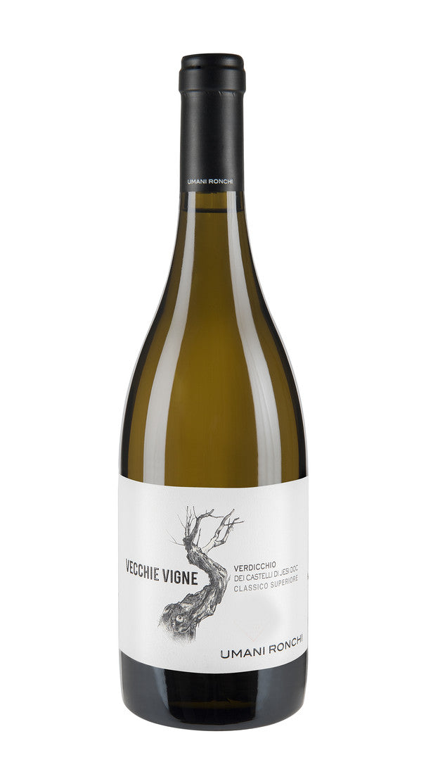 Verdicchio Castelli di Jesi Superiore 'Vecchie Vigne' Umani Ronchi 2018