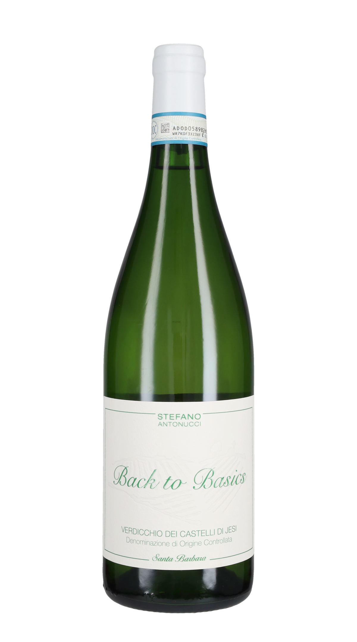 Verdicchio dei Castelli di Jesi 'Back to Basics' Santa Barbara 2024