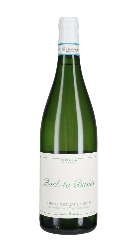 Verdicchio dei Castelli di Jesi 'Back to Basics' Santa Barbara 2024