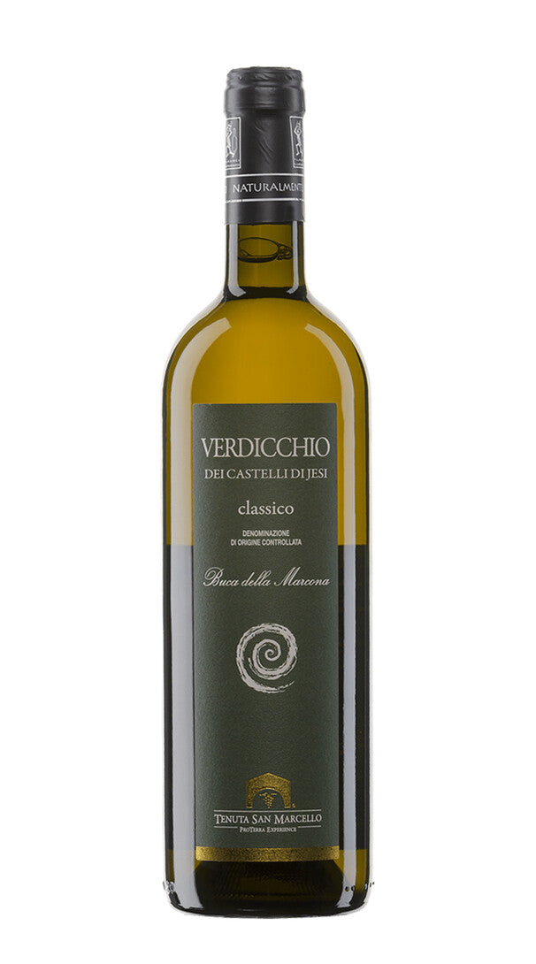 Verdicchio dei Castelli di Jesi Classico 'Buca della Marcona' Tenuta San Marcello 2021