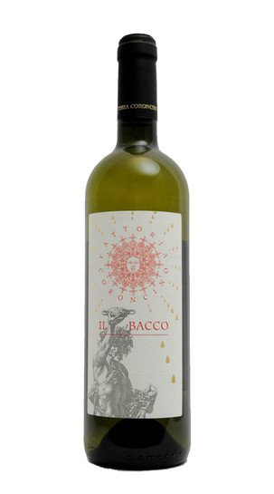 Verdicchio dei Castelli di Jesi Classico Superiore 'Il Bacco' Coroncino 2015