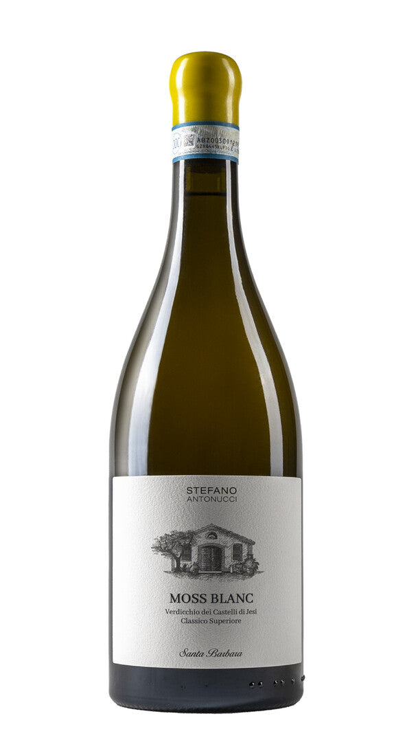Verdicchio dei Castelli di Jesi Classico Superiore 'Moss Blanc' Santa Barbara 2022