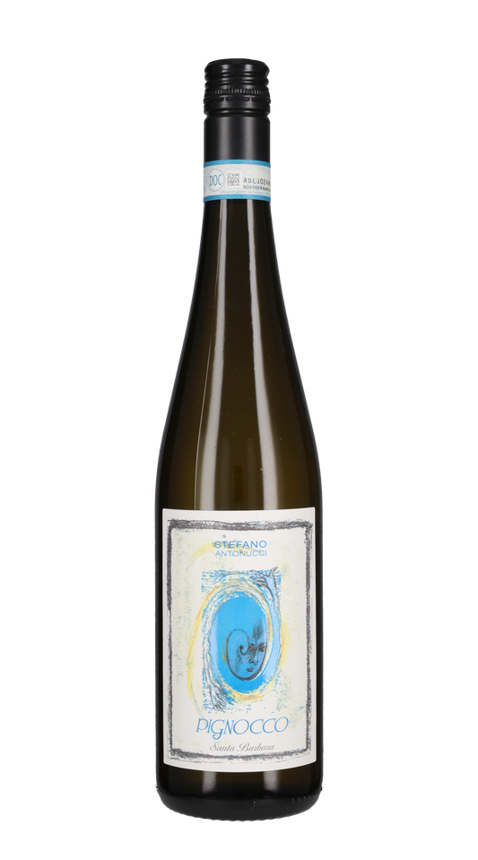 Verdicchio dei Castelli di Jesi 'Pignocco' Santa Barbara 2025