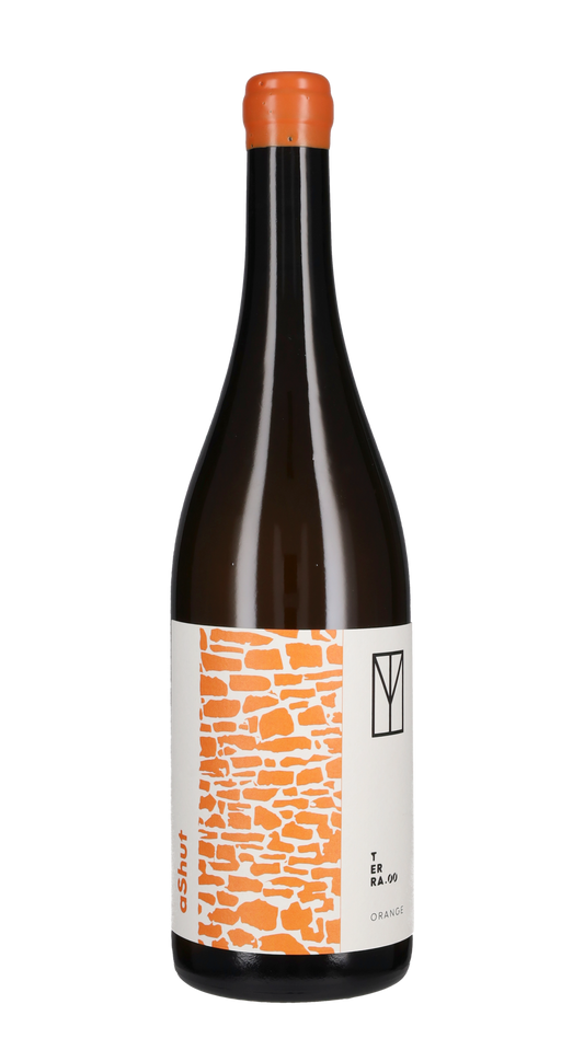 Vernatxa Orange 'Ashut' Terra00 2022
