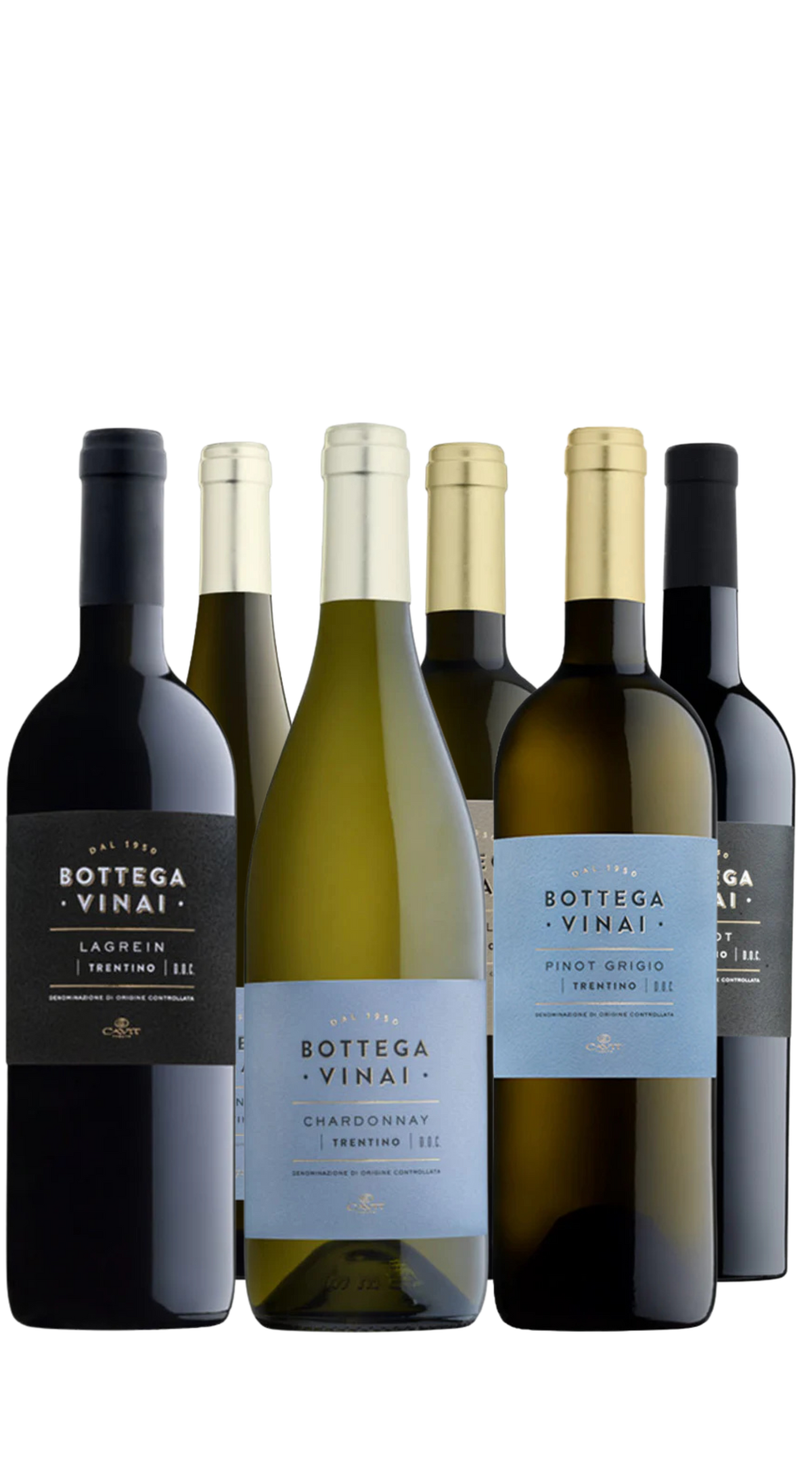 Wine Box 'Bottega Vinai' Cavit (6bt)