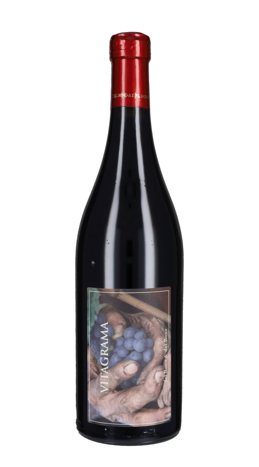 'Vitagrama' Casa Caterina 2009