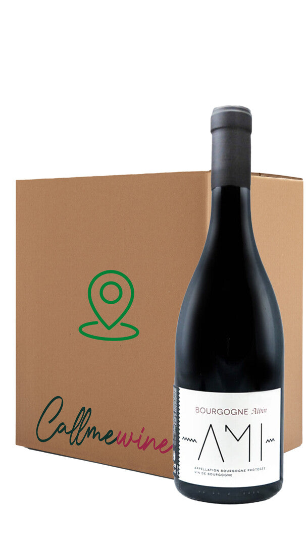 Wine Box Pinot Nero dal Mondo (6bt)